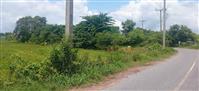 ที่ดินติดถนนลาดยาง ราคาถูก